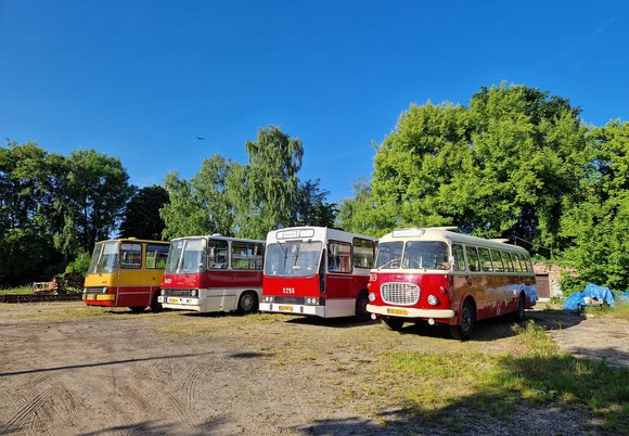 Czerwone autobusy Ikarus - autobusy Łódzkich Linii Turystycznych