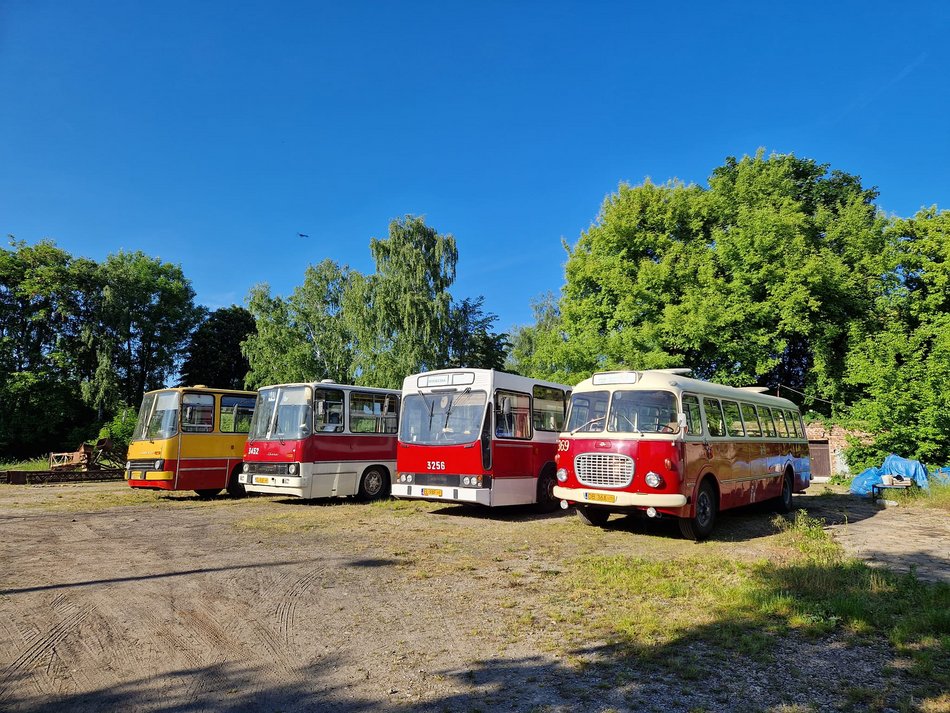 Czerwone autobusy Ikarus - autobusy Łódzkich Linii Turystycznych