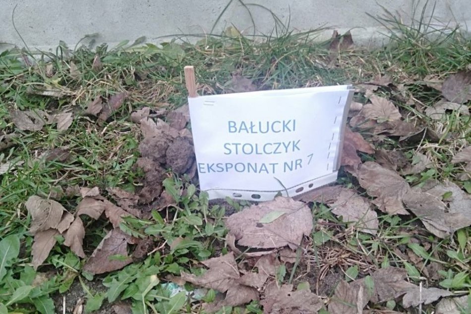 Bałuckie Stolczyki. Psie kupy z ulicy Górniczej doczekały się własnej wystawy