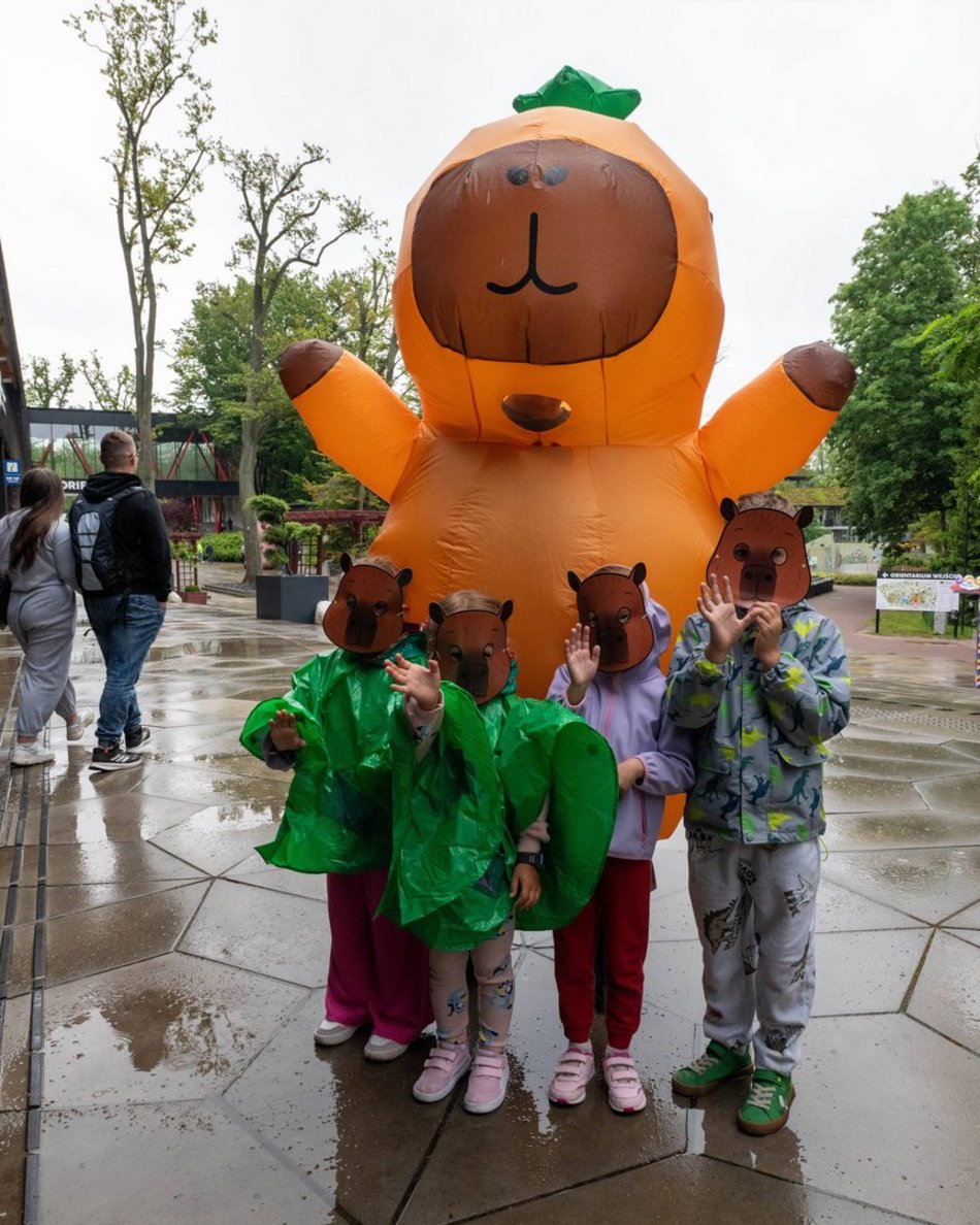 Łódź. Zlot Fanów Kapibary w Orientarium Zoo Łódź. Świetna frekwencja mimo niepogody