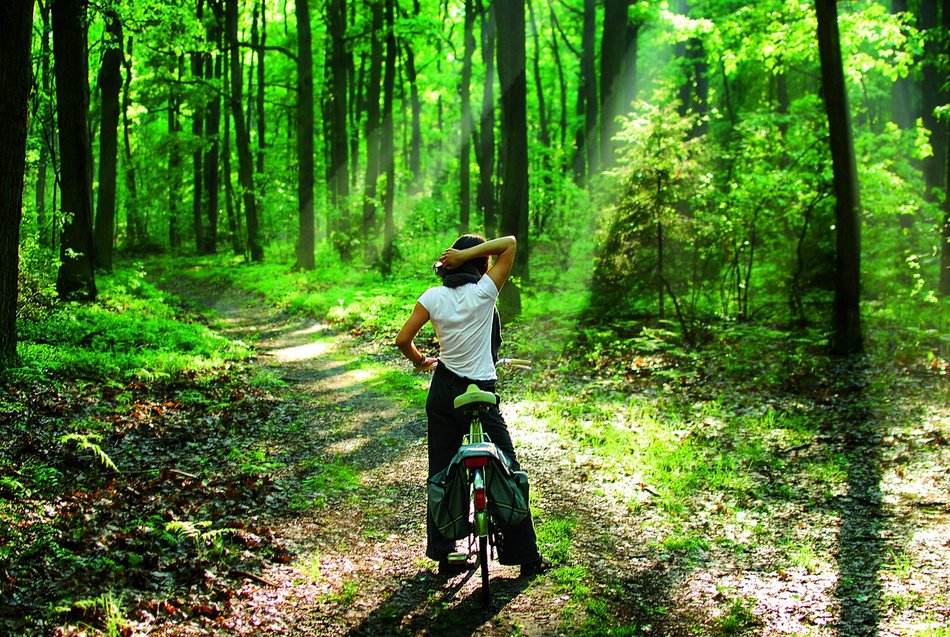 Łódź. Zielone przestrzenie
