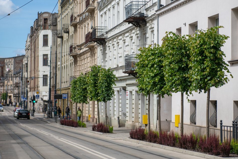 Łódź. Zieleń w Łodzi