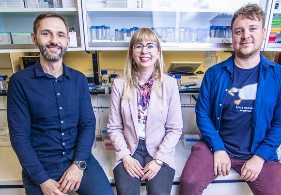 Łódź. Rośliny kontra chwasty. Naukowcy z Politechniki Łódzkiej pomagają bronić się naturze