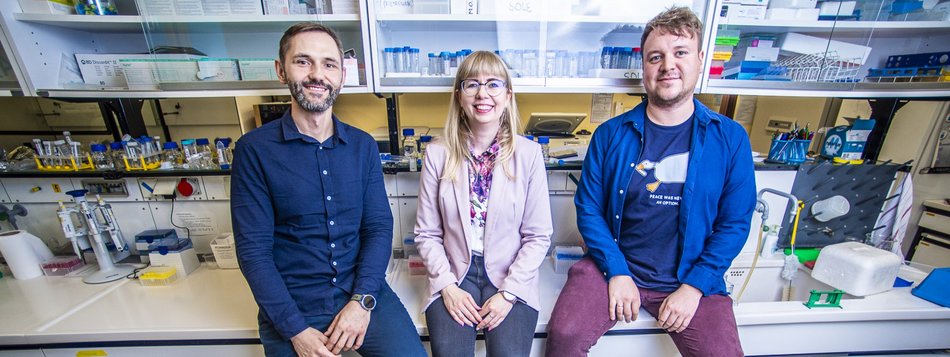 Łódź. Rośliny kontra chwasty. Naukowcy z Politechniki Łódzkiej pomagają bronić się naturze