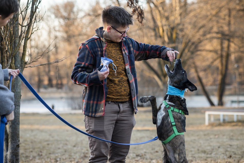 Łódź. Trójnogi Natan ze schroniska w Łodzi znalazł dom! Poznaj Martę i Kasię, które obdarzyły go miłością