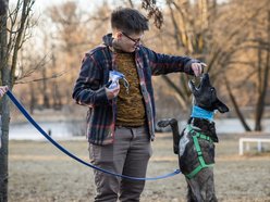 Łódź. Trójnogi Natan ze schroniska w Łodzi znalazł dom! Poznaj Martę i Kasię, które obdarzyły go miłością