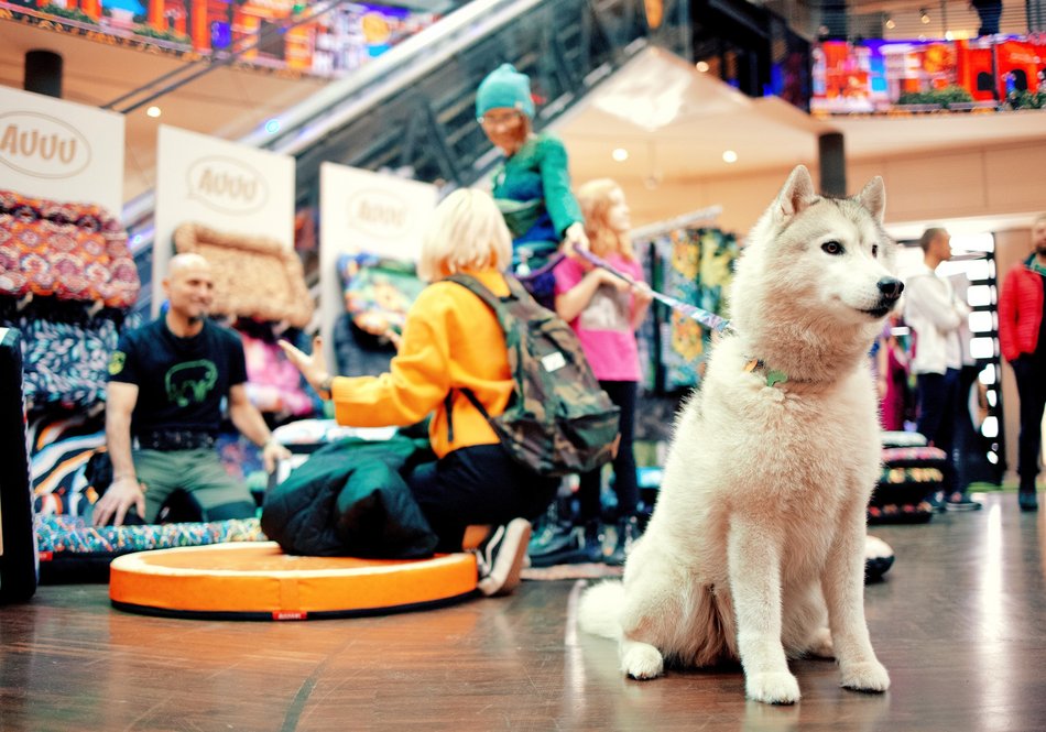 Sprawdź, co robić w weekend w Łodzi!