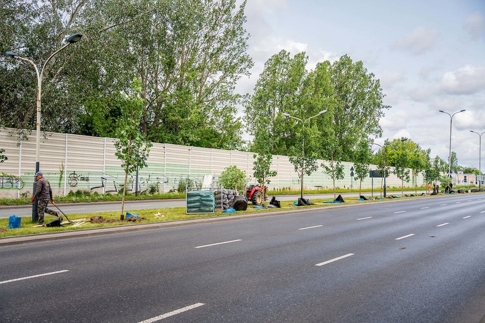 Łódź. Budżet Obywatelski Łódź 2025. Więcej zieleni przy Włókniarzy Łodzi