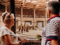 Orientarium Zoo Łódź na 602. Urodziny Łodzi. Polówka, dmuchańce i wyjątkowe karmienia!