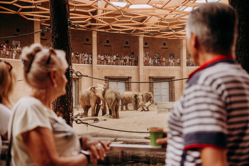 Orientarium Zoo Łódź na 602. Urodziny Łodzi. Polówka, dmuchańce i wyjątkowe karmienia!