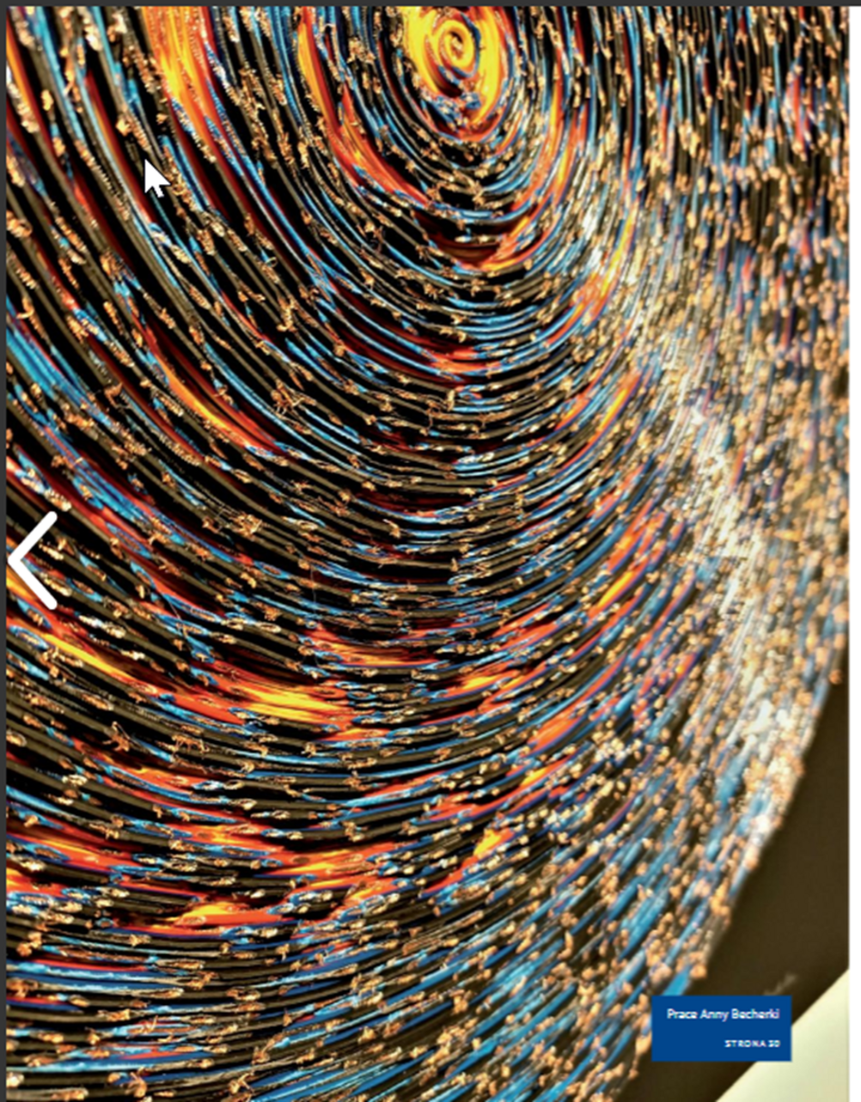 Łódź. Sztuka robiona z odpadów. Anna Becherka z Łodzi i jej innowacyjne podejście do recyklingu [ZDJĘCIA]