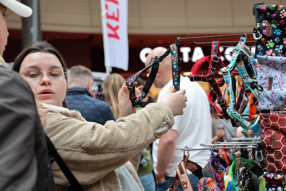 Łódź. Psi Targ w Manufakturze w Łodzi. Każdy miłośnik czworonogów znajdzie tu coś dla siebie