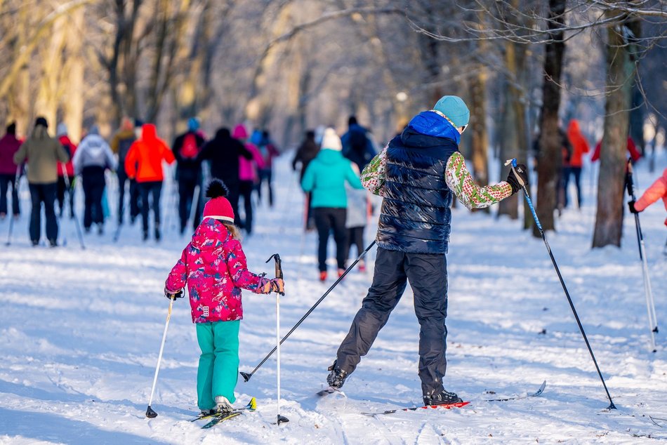 Łódź. Zajęcia z narciarstwa biegowego