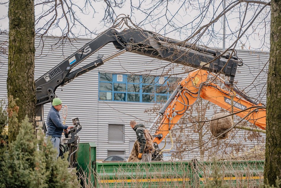 Łódź. Remont Szparagowej i Wersalskiej w Łodzi. Kiedy będą gotowe?