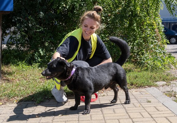 Łódź. Zostań wolontariuszem w schronisku w Łodzi. Dołącz do zespołu i miej wpływ na los zwierząt!