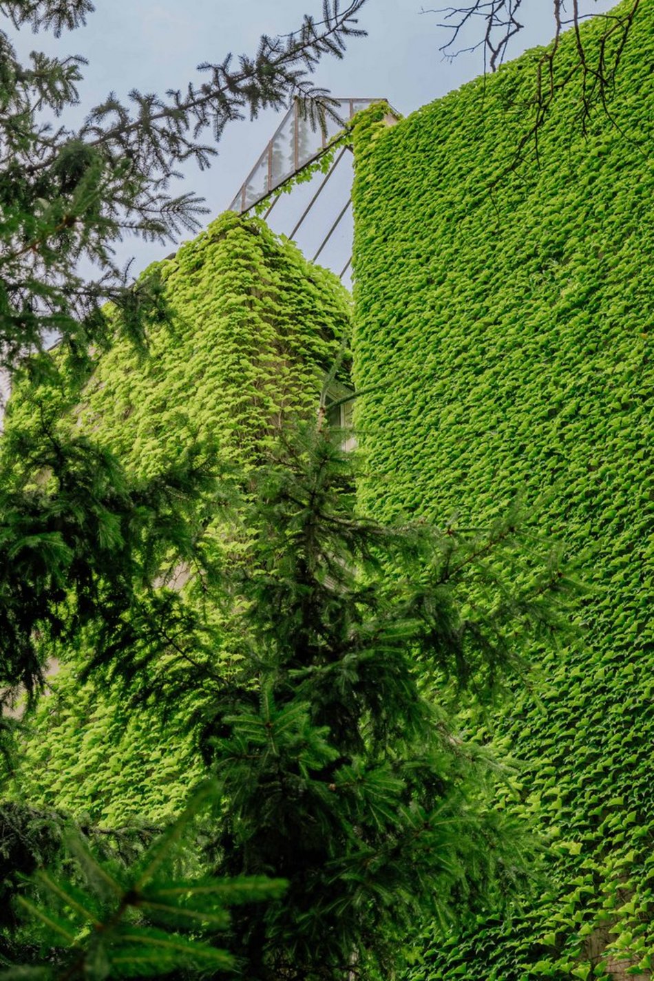 Łódź. To najbardziej zielona kamienica w Łodzi. Ten widok zapiera dech!