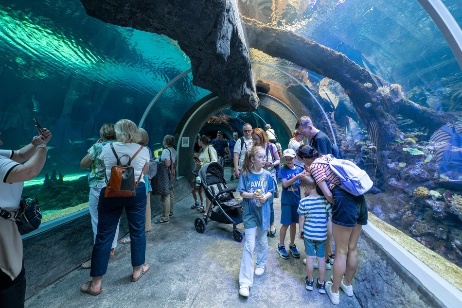 Jesień w Orientarium Zoo Łódź nie będzie nudna. Moc atrakcji i zniżki dla seniorów