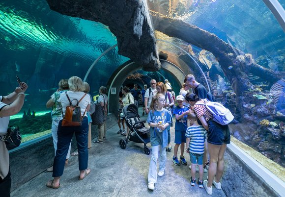 Jesień w Orientarium Zoo Łódź nie będzie nudna. Moc atrakcji i zniżki dla seniorów
