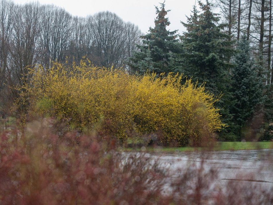 Ogród Botaniczny w Łodzi