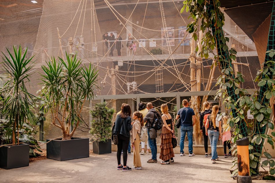 Trzecie urodziny Orientarium Zoo Łódź i majówka