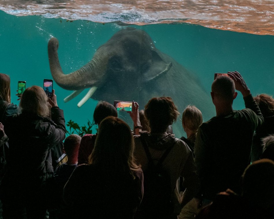 Dzień wagarowicza, Orientarium Zoo Łódź