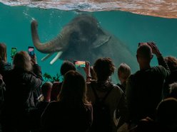 Dzień wagarowicza, Orientarium Zoo Łódź