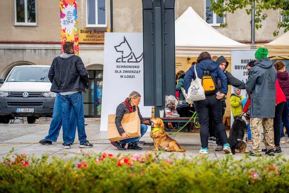 Światowy Dzień Zwierząt w Łodzi