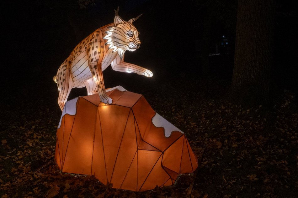 Park Miliona Świateł w Łodzi otwarty! Magiczne zwierzęta opanowały Orientarium Zoo Łódź