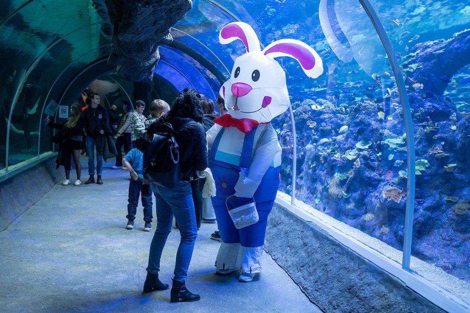 Łódź. Wielkanocny zając w Orientarium Zoo Łódź