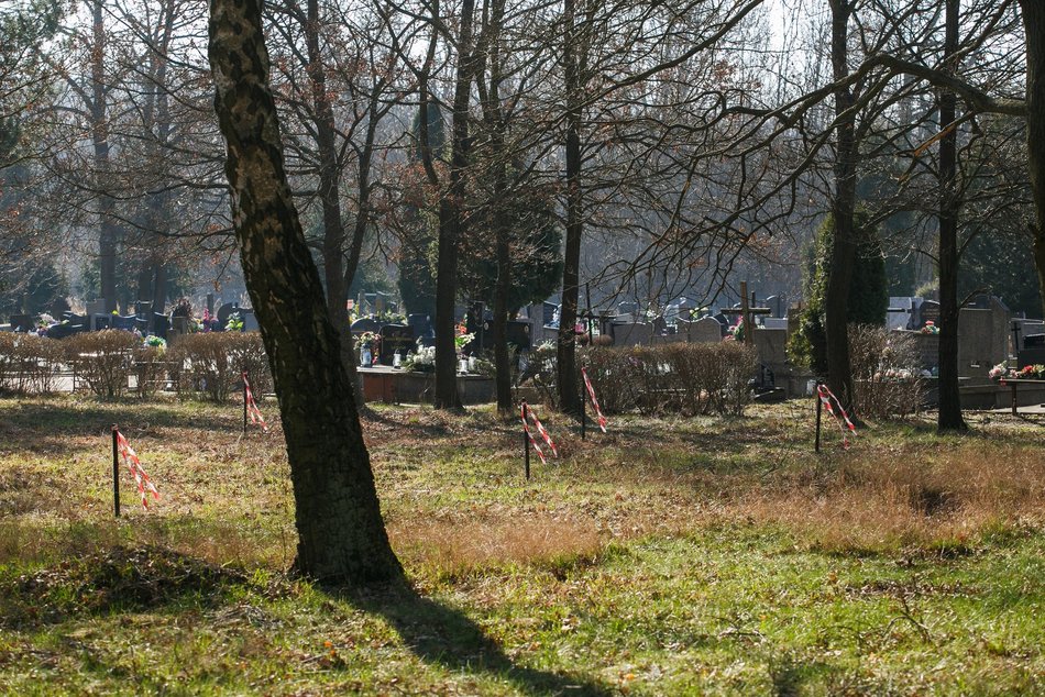 Las Pamięci na cmentarzu Szczecińska