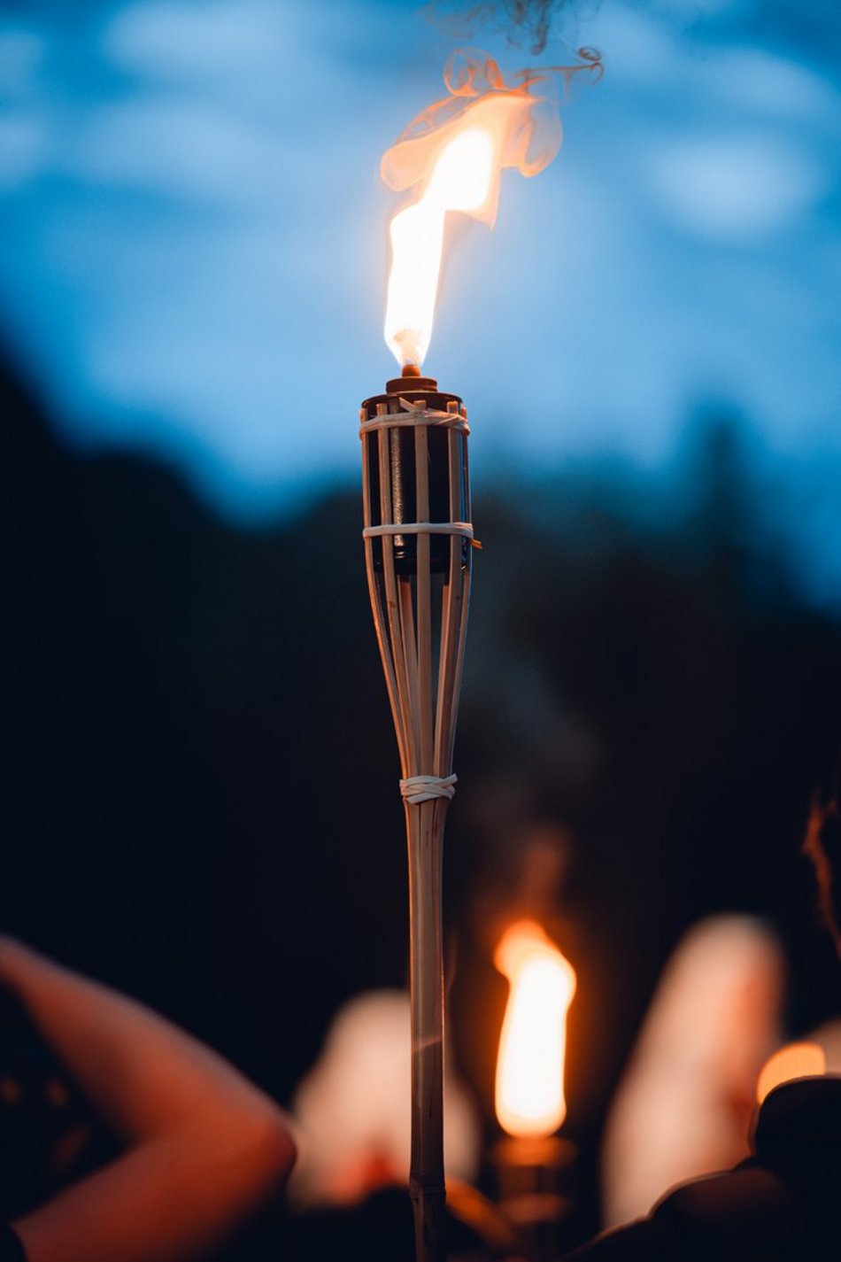 Łódź. Noc Świętojańska w Ogrodzie Botanicznym w Łodzi. Magia światła, natury i folkloru