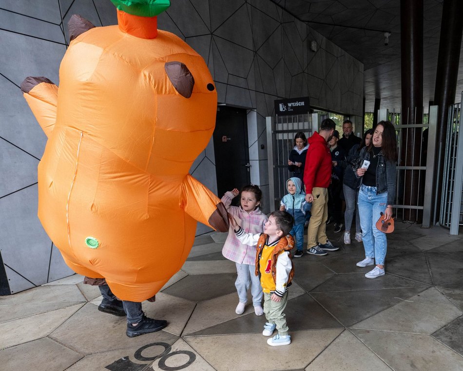 Łódź. Zlot Fanów Kapibary w Orientarium Zoo Łódź. Świetna frekwencja mimo niepogody