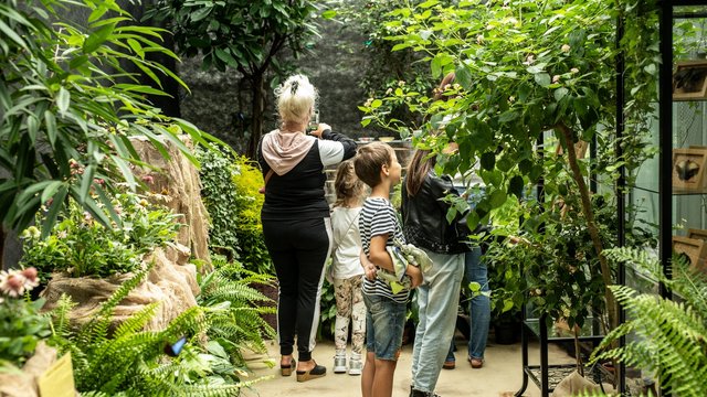 Зимові канікули 2025 у Лодзі в Ogrodzie Botanicznym і Palmiarni? Твоїй дитині точно сподобається!