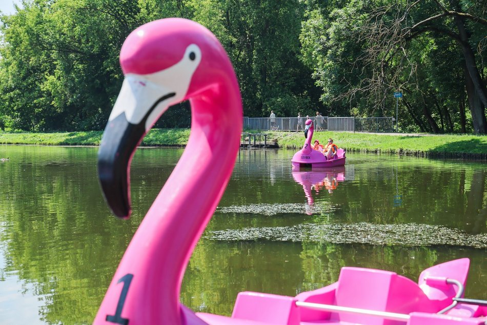 Łódź. Park na Młynku w Łodzi