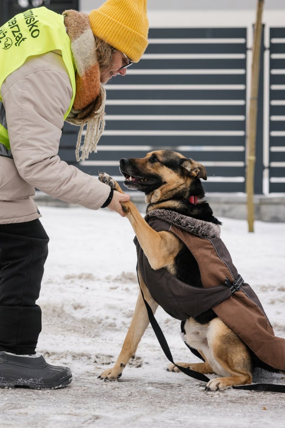 Łódź. Psy ze schroniska w Łodzi znów na spacerze! Dla tych wesołych pyszczków aż chce się chodzić!