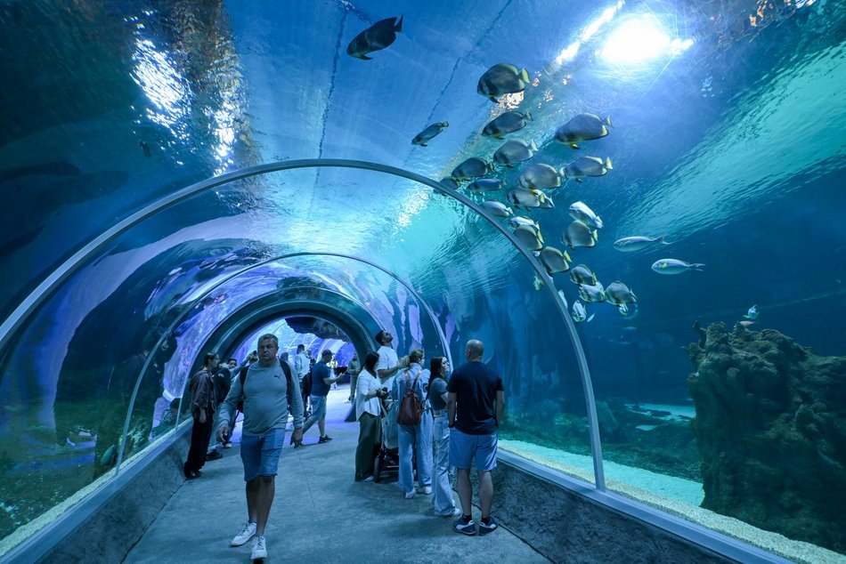 Za darmo z Kartą Łodzianina do Orientarium Zoo Łódź, Aquaparku Fala i EC1 Łódź