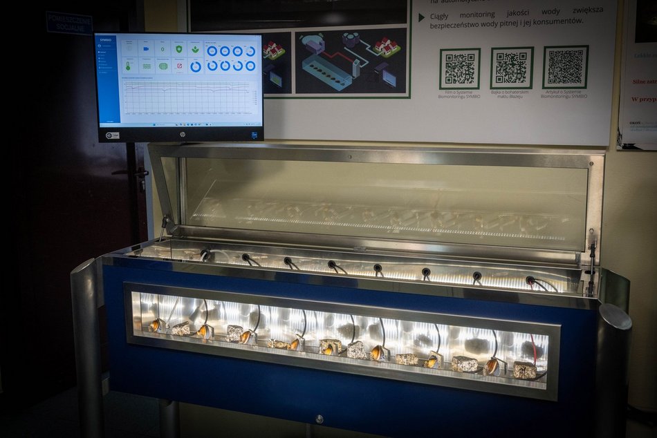 Łódź. Aż 56 nowych pracowników w ZWiK Łódź. Czym się zajmują tajemniczy bohaterowie?