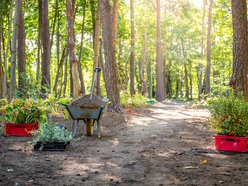 Będzie nowy skwer przy ulicy Zuchów w Łodzi. Zapomniany teren odżyje!