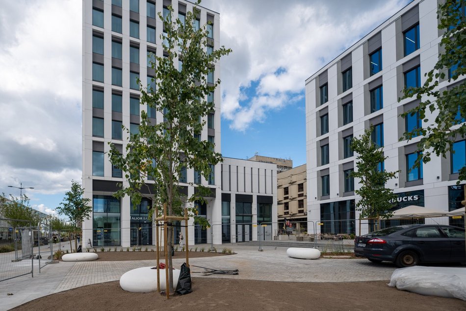 Przy Stajni Jednorożców w Łodzi robi się zielono! Widać już efekty odbetonowania