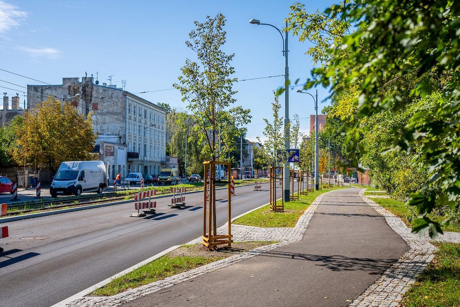 Łódź. Prawie 100 nowych drzew w Łodzi! Jesiony, lipy pojawiły się w centrum miasta