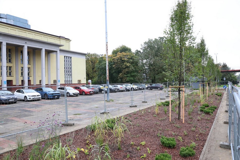 Łódź. Rośliny zamiast betonu przy hali sportowej MOSIR