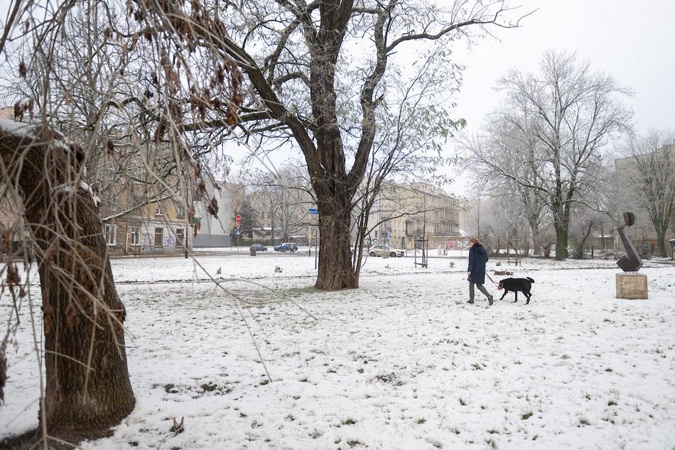Łódź. Skwer Bogumiły Wander