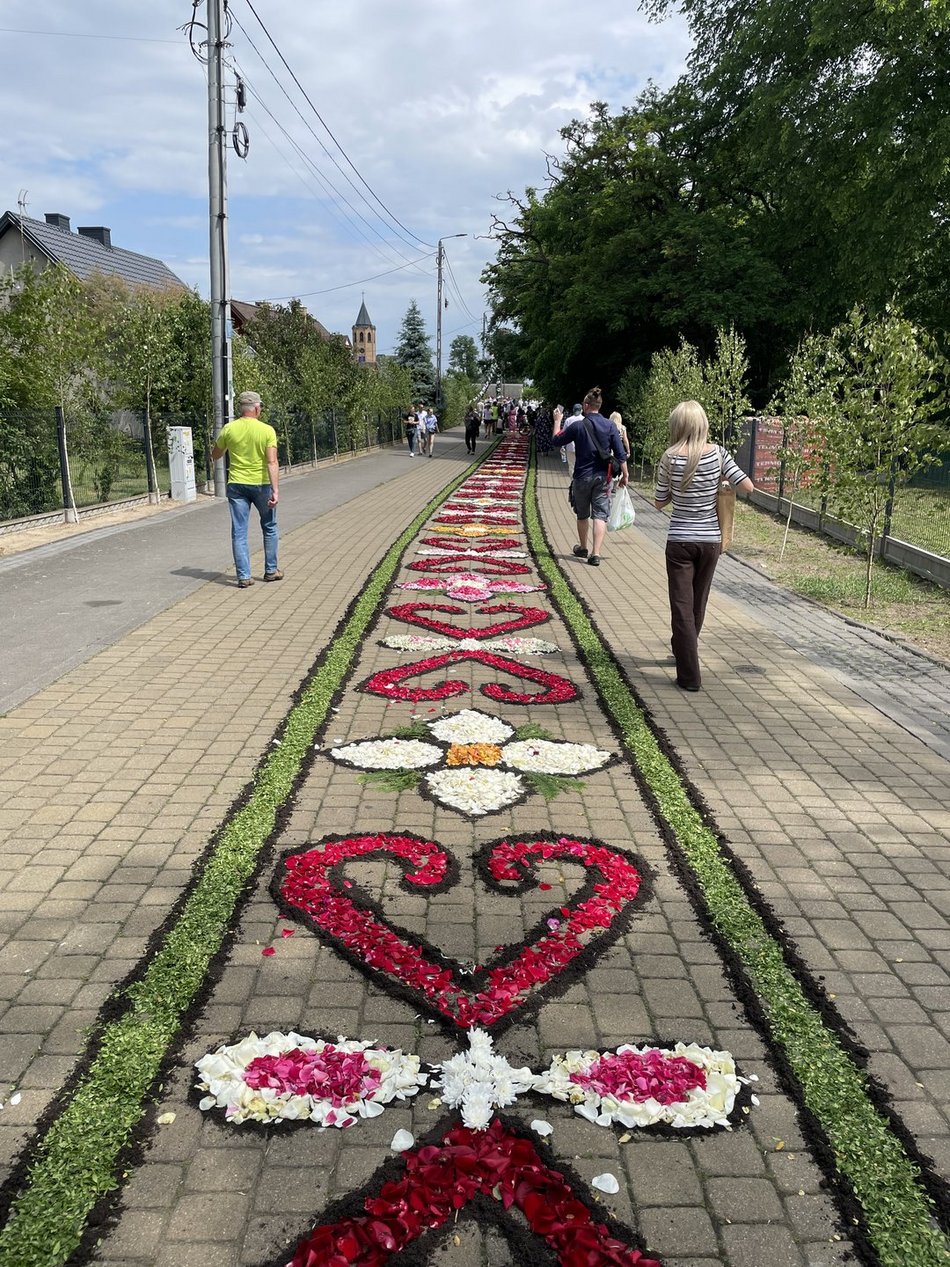 Kwiatowe dywany w Spycimierzu