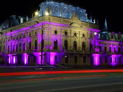 Łódź. Światowy Dzień Świadomości HPV w Łodzi. Pałac Poznańskiego w fioletowych barwach