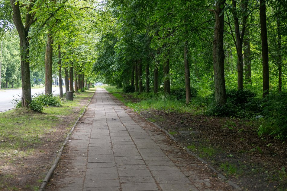 Łódź. Nowa droga rowerowa przy Unii Lubelskiej w Łodzi. Start prac już w wakacje!