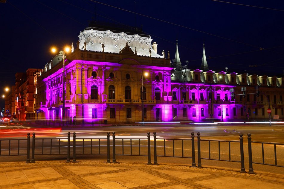 Łódź. Międzynarodowy Dzień Epilepsji w Łodzi. Pałac Poznańskich w lawendowych barwach