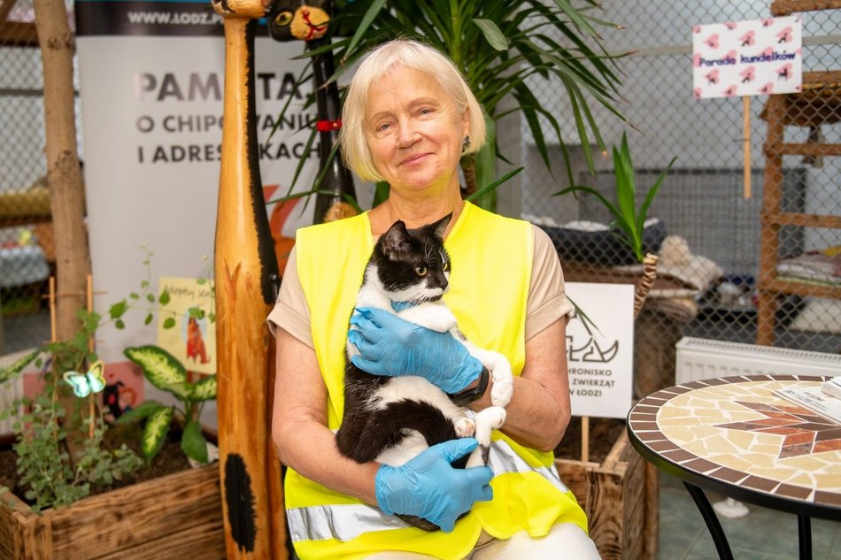 Bądź jak pani Krystyna, która została wolontariuszką w schronisku w Łodzi