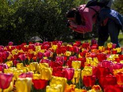 Ogród Botaniczny w Łodzi. Łodzianie na wyjątkowych zdjęciach z okazji 600. Urodzin! [ZDJĘCIA]