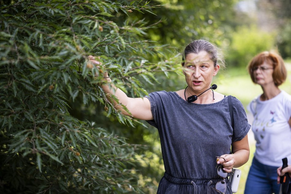 Warsztaty w Ogrodzie Botanicznym w Łodzi