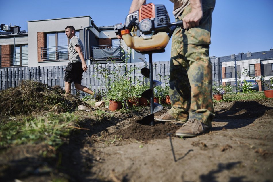 Nowy krzewy w parku nad Jasieńcem